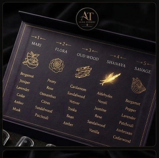 Aura Theory Discovery Set